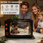 2 5 Gallon Fish Tank Kit With Led Lights  Filter   Plant Planter - Retro Tv Deco