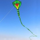 New Snake Kite With Handle And Line Good Flying For Kids And Adults