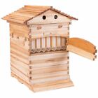 Auto Seep Beehive Beekeeping Hive Beekeeping Bee Boxes  7 Honey Bee Hive Frames