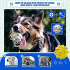 2 Pcs Tough Etpu Dog Balls For Aggressive Chewers - Bouncy  Interactive Floating