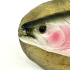 Vintage Gemmy Travis The Singing Trout  Animated Fish Parts Only   Not Working