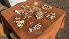 Full Tamandua Real Taxidermy Skeleton Professionally Cleaned For Articulation