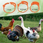 Large Poultry Leg Bands  60 Pcs Chicken Leg Bands  Duck Leg Bands Clip On Leg   