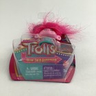 Dreamworks Trolls Fun Fair Surprise Poppy Action Figure Doll 2024 Mattel Toy