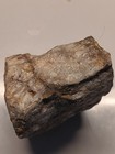 Nevada Gold Ore Sample  150 Grams Total 