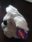 Swibco Puffkins Koala Bear Collectible Plush Animal Aussie 6605 W  Original Tag