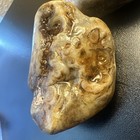 Agate Nodule Mineral Specimen Pair - Central Texas - 0 78 Lbs - Lapidary Ready