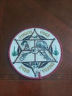 Vintage Nm New Mexico Eddy County Sheriff s Dept Patch Gun Bird