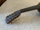Vintage Antique 8 String    new Washburn 1897 Model    Mandolin Antique Cremonatone