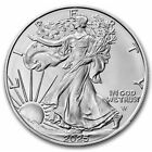 New 2025 1 Oz  999 Fine Silver American Eagle  1 Coin Bu