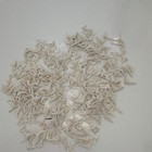 Bulk Lot Small White Shark Teeth Fossils - Many Pieces  Bulk Assorted Lot