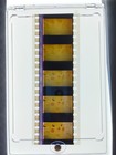 Pokemon 2 Pikachu Rare Fade In Scene Film Cell Rare P14