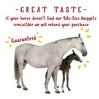 Manna Pro Bite-size Nuggets Horse Treat  Apple Flavor  4 Lbs