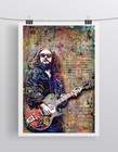 Jim James My Morning Jacket 16x20in Poster Jim James Print Tribute Free Shipping