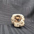 Protection Adder Hag Stone Fairy s  Magic Mystical Fey  1     1     1 