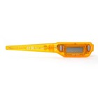 Digital Pocket Thermometer