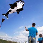 57-inch Outdoor Single Line Whale   Dolphin Kite Animal Toy With 14cm Wheel