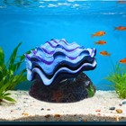 Fish Tank Ornament Aquarium Decoration Resin Shell Fish Tank Landscaping Decor