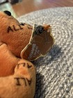 Muhammad Ali Bear Beanie Bean Feb 1999 Ali Salvino s Bammers Orange Nice  