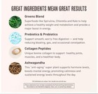 By Chuck Norris Morning Kick  Greens Superfood Powder Supplement With Ashwaganda