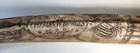 Scrimshaw Walrus Tusk Charles W Morgan  Copy Souvenir Resin