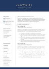 Resume Template   Fill In  Resume Update  Cv Update  Professional Cv Fill In