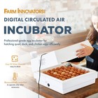 Farm Innovators 2450 Digital Circulated Air Incubator W  Auto Egg Turner  White