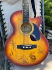 Eleca Efc-3910c-tbs Acoustic Guitar Signed By  three Days Grace 