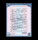 Frank Sinatra Death Certificate Amazing Research Document  Rat Pack