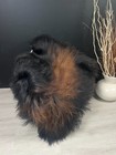 Natural Icelandic Sheepskin Rug - Black   Brown Genuine Sheepskin Pelt Pet Throw