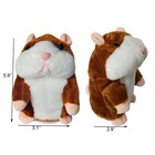 Pet Talking Hamster Toy Mouse Talking Toys Repeat What You Say Mimicry Pet Ta   