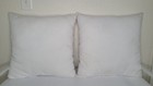White Moet Chandon Ice Imperial Champagne Outdoor Cushions  set Of 2 