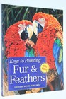 Lot Of 4 Art Painting Instruction Books  Light  Exploring Color  Fur   Feathers