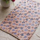 Puppy Blanket Pet Cushion Small Dog Cat Bed Soft Warm Sleep Mat Paw Print 2pack