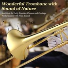 B Flat Trombone Gold Brass With Mouthpiece Case Gloves For Beginners Students