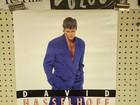 David Hasselhoff 1993 You Are Everything Promo Poster Excellent New Old Stock