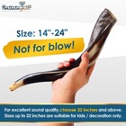 Halleluyah 14 -20  Shofar Set Yemenite Kudu Half Horn Plus Free Bonus Ram Horn
