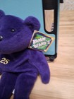 Mcgwire  25 Salvino s Bamm Beano s Bear