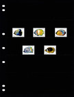  7 50 Scott Value - 2007 Maldives Fish Butterflyfish Indian Ocean Cv Mnh Nh Umm