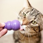 Kong Kitty Kong Treat Or Catnip Stuffable Durable Cat Toy 