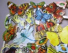 9 Full Sheets German Die Cut Paper Scraps Butterflies  Insects Etc  Victorian