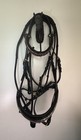 Halter Ego  Damascus Metallic Gold Patent Leather Holiday Rolled Snaffle  Cob
