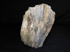 Excellent Quality Pure Agate Limb Cast 5lbs  2oz  Central Wa Vintage