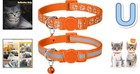 Adjustable Soft Kitten Collar With Bell - High Visibility  6-8 Inch  Orange