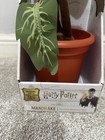 Harry Potter The Nobel Collection Electronic Plush Mandrake 