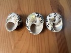 Lot Of 3 Magpie Turbo Sea Shells 1 5    Inches