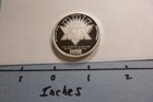 Minnesota Vikings 1994 Central Division Champions 999 Silver Coin Rare 3mv3