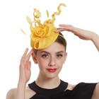 Women Fascinator Hat Races Day Cocktail Party Headband Hair Clip Fashion Au