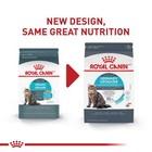 Royal Canin Feline Adult Dry Cat Food Care Nutrition  Urinary Care 14 Lb