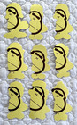 Sun Bum Ambassador Vinyl Sticker Collection Wsl Surf Team Limited Edition